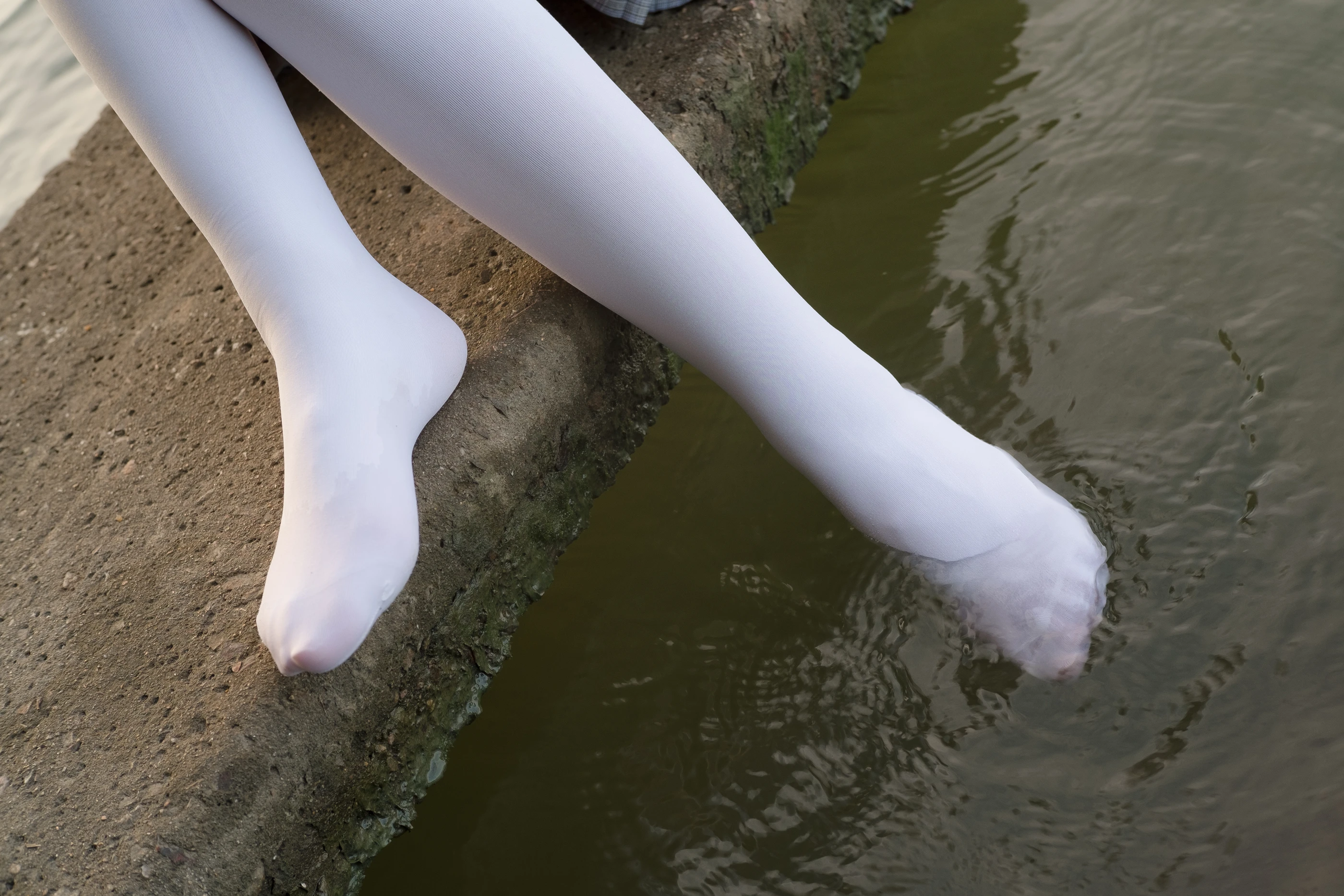 森萝财团 R15-032 [113P]插图1